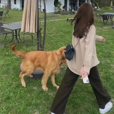 古董局中局